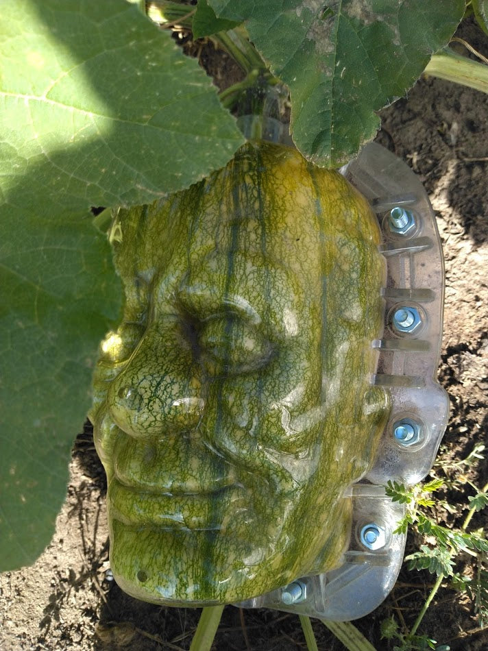 Frankenstein pumpkins shape plastic mold for sale