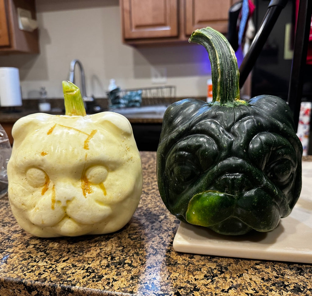 Dog and cat face shaped pumpkin mold