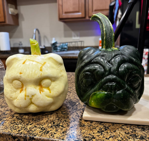 Dog and cat face shaped pumpkin mold