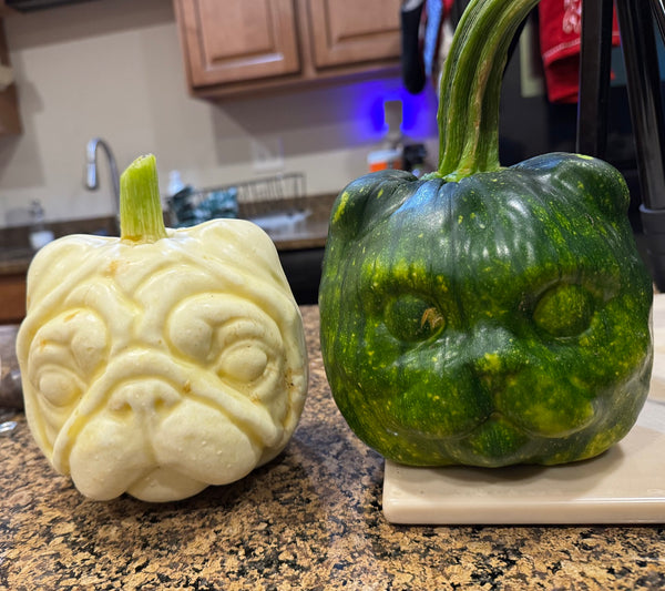 Dog and cat face shaped pumpkin mold