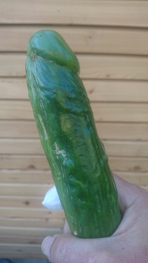 Cock shape mold penis mold for cucumber eggplants – slingfisher