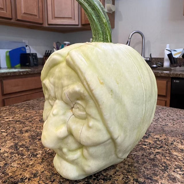 Witch plastic mold for pumpkin