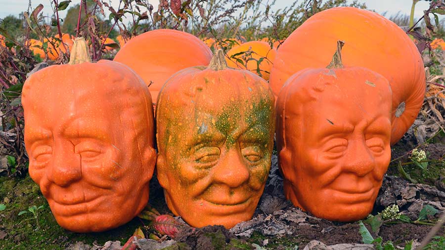 Frankenstein pumpkins shape plastic mold for sale