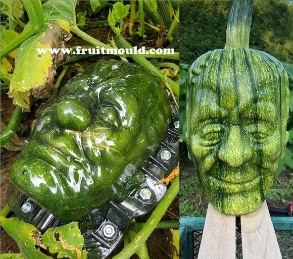 Frankenstein pumpkins shape plastic mold for sale – slingfisher