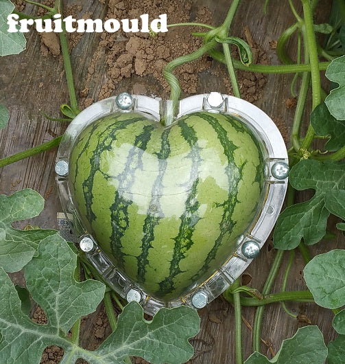 Square and heart shape watermelon mold kit package one of each