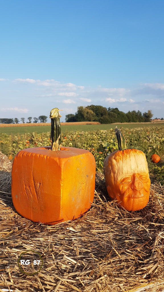 Frankenstein pumpkins shape plastic mold for sale