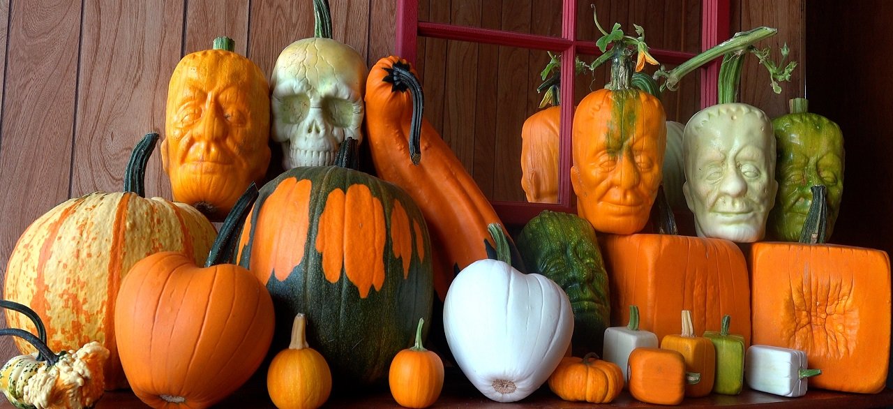 many shaped pumpkins